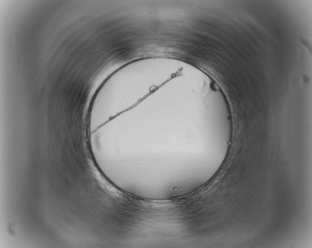 X0000102521152200808081024