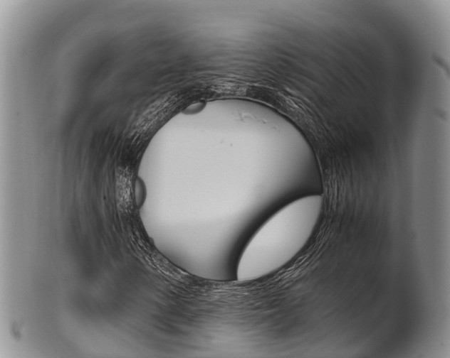 X0000102521154200808081023