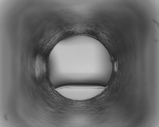 X0000102521155200808081023