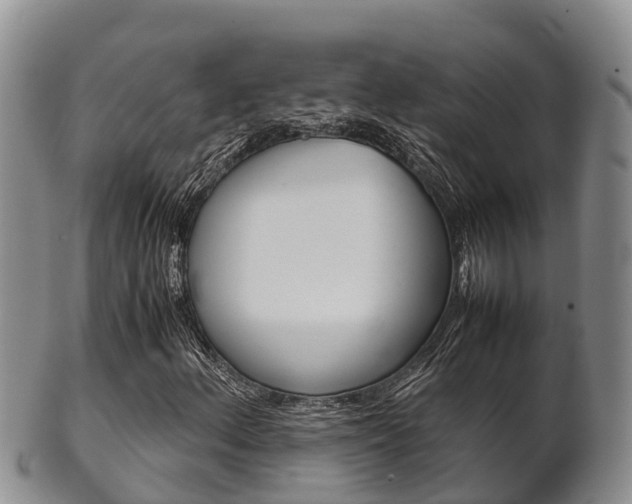 X0000102521156200808081023