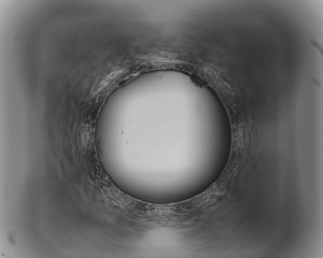 X0000102521157200808081023