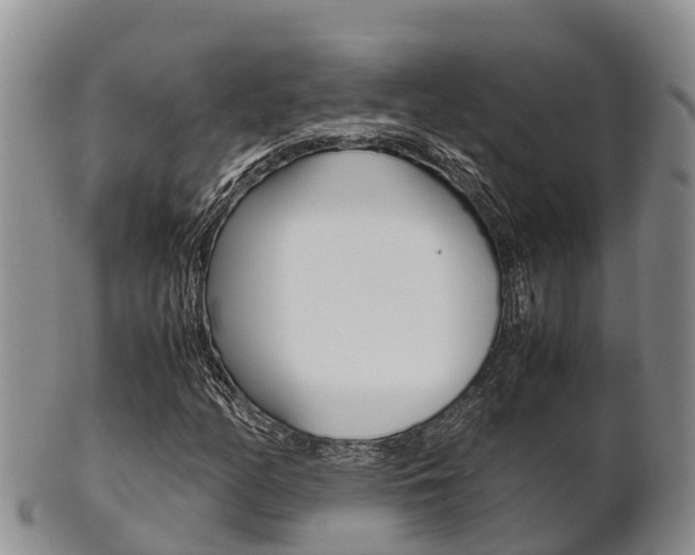 X0000102521158200808081023