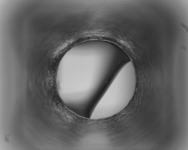 X0000102521159200808081023