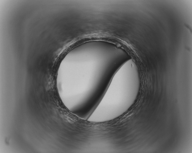 X0000102521160200808081023