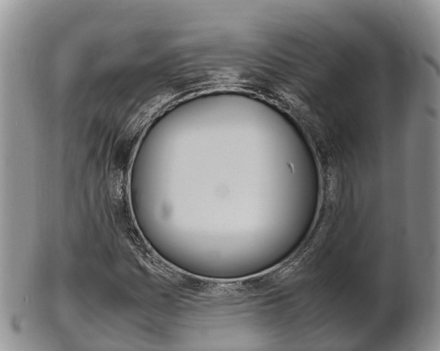 X0000102521161200808081023