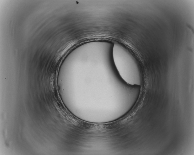 X0000102521162200808081023