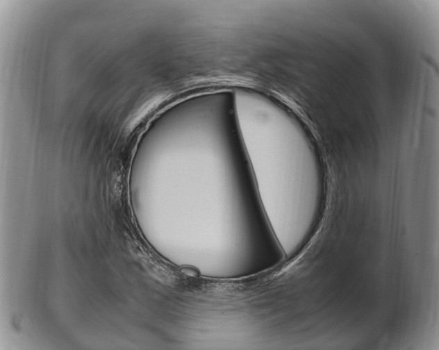 X0000102521163200808081023