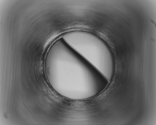 X0000102521164200808081023