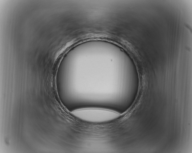 X0000102521165200808081023