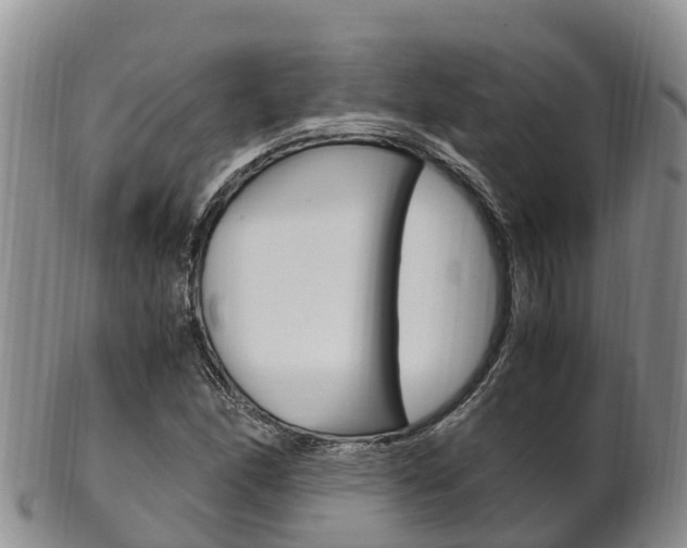X0000102521166200808081023