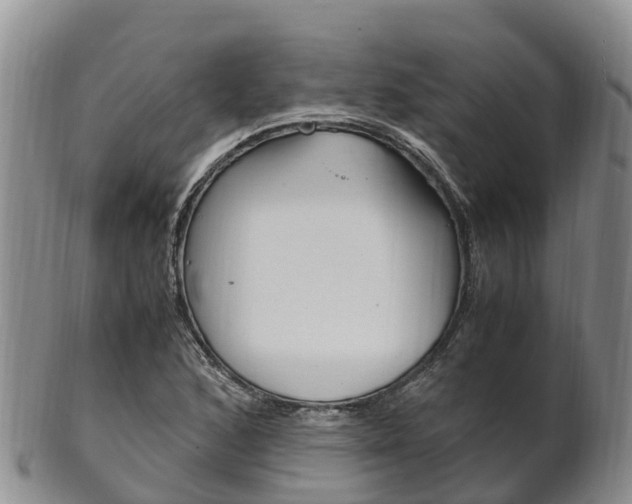X0000102521168200808081023