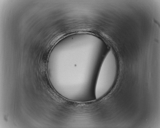 X0000102521169200808081023