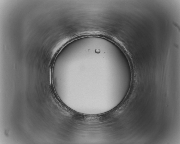 X0000102521171200808081023