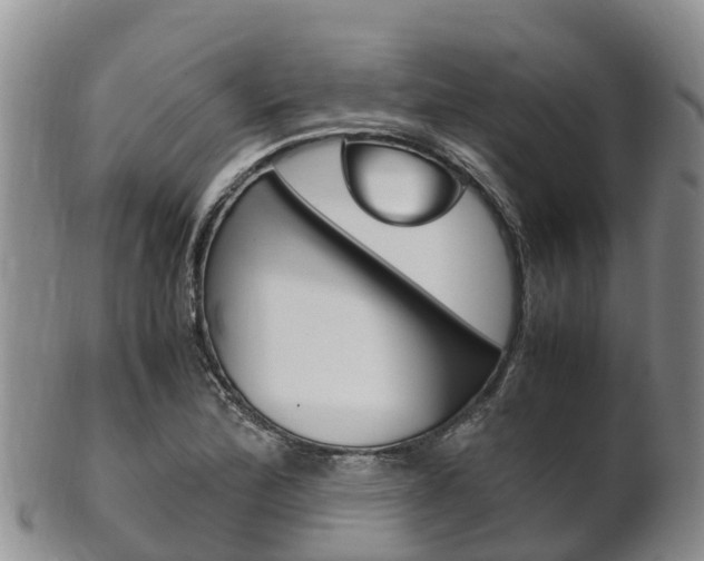 X0000102521172200808081023