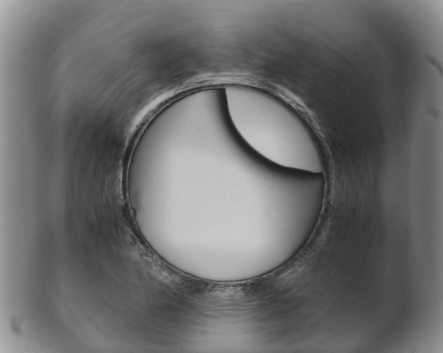 X0000102521174200808081023