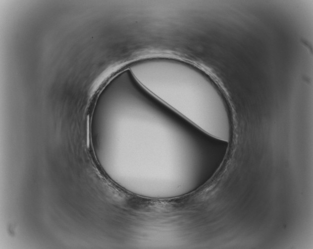 X0000102521175200808081023