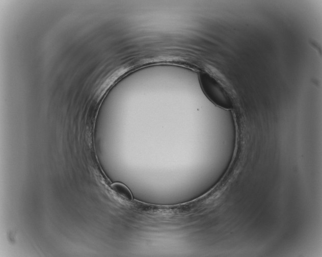 X0000102521177200808081023