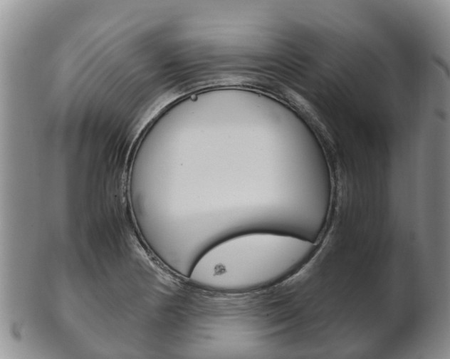 X0000102521178200808081023
