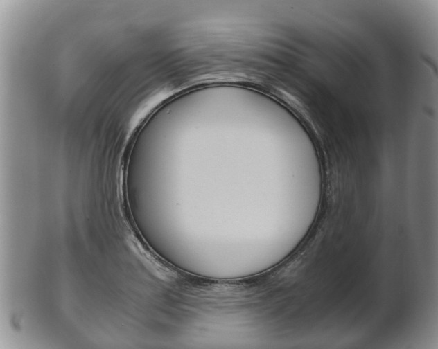 X0000102521179200808081023