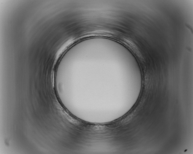 X0000102521180200808081023