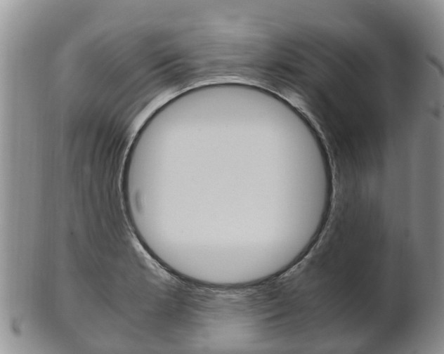 X0000102521181200808081023