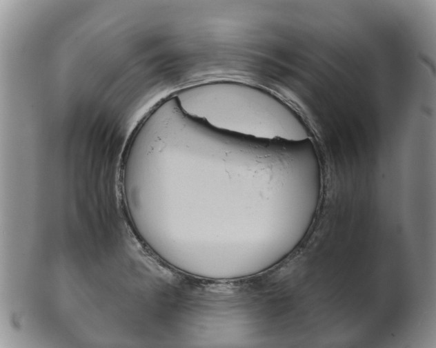 X0000102521182200808081023