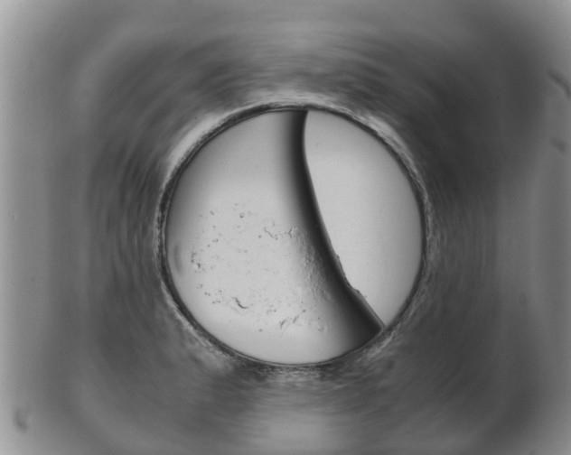 X0000102521183200808081023