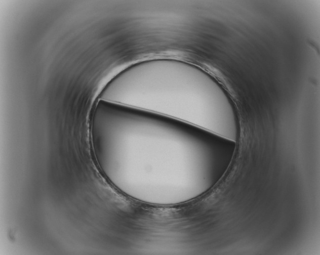 X0000102521184200808081023