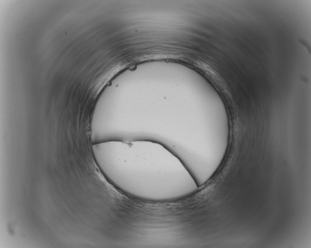 X0000102521185200808081023
