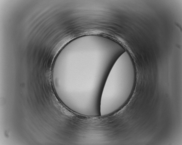 X0000102521186200808081023