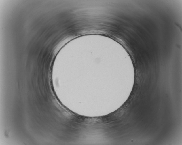 X0000102521187200808081023