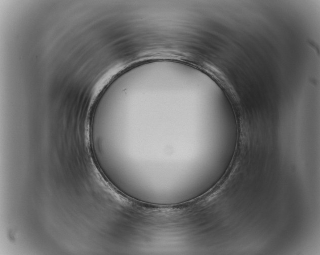 X0000102521188200808081023