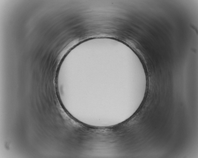 X0000102521189200808081023