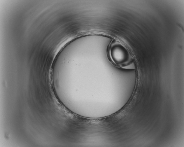 X0000102521190200808081023
