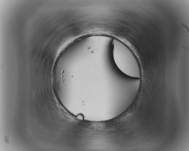 X0000102521191200808081023