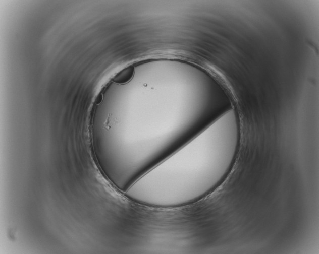 X0000102521192200808081023