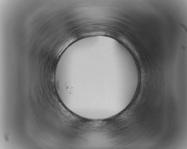 X0000102521193200808081023