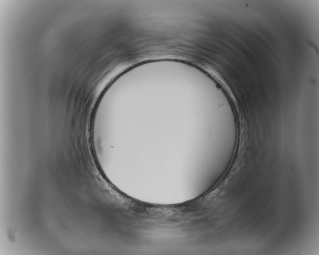X0000102521197200808081022