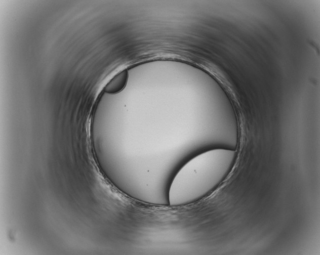 X0000102521198200808081022