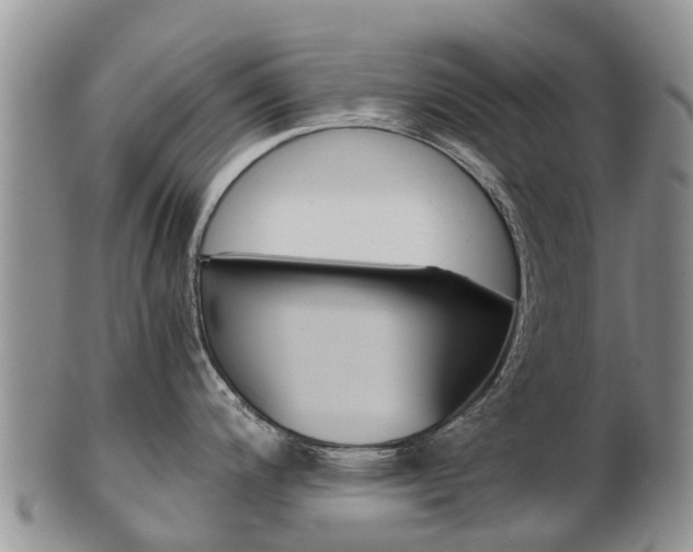 X0000102521200200808081022