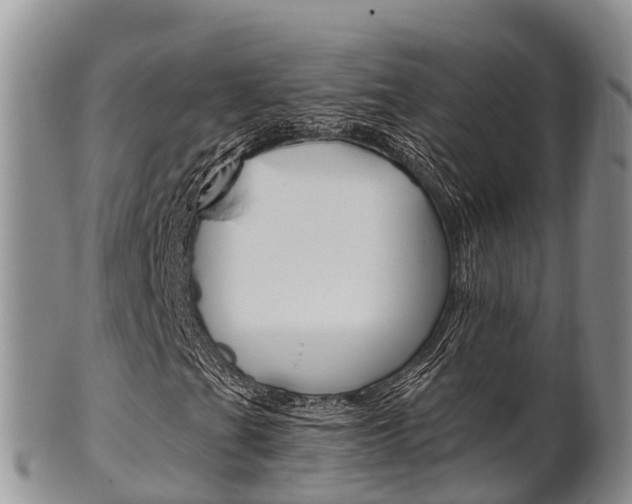 X0000102521201200808081022