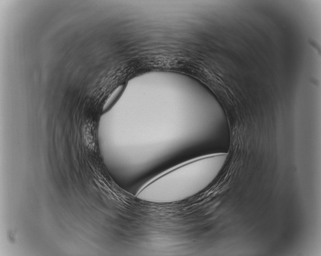 X0000102521202200808081022