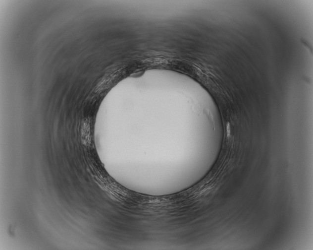 X0000102521203200808081022