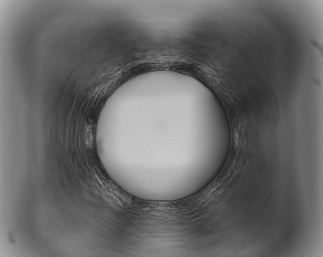 X0000102521204200808081022