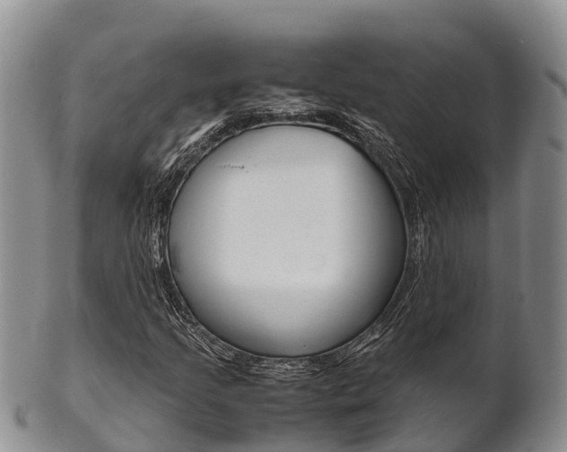 X0000102521205200808081022