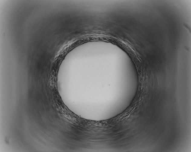 X0000102521207200808081022
