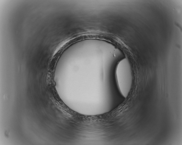 X0000102521208200808081022