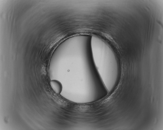 X0000102521209200808081022