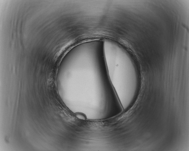 X0000102521210200808081022
