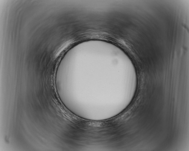 X0000102521211200808081022